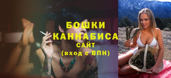 a pvp Ельня