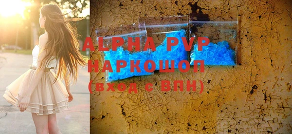 a pvp Ельня