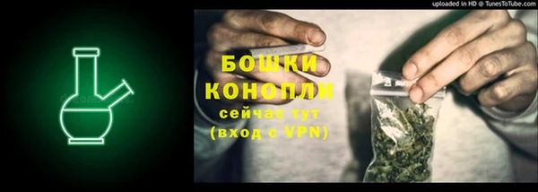 мяу мяу мука Елабуга