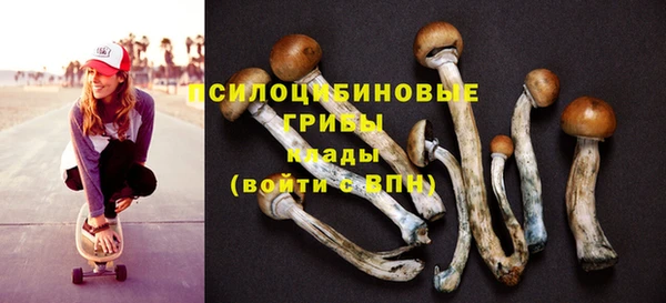 a pvp Ельня