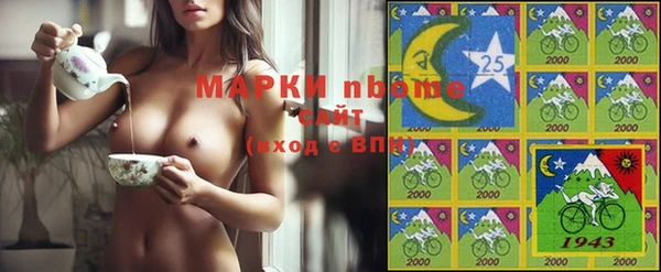 a pvp Ельня