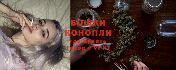 a pvp Ельня
